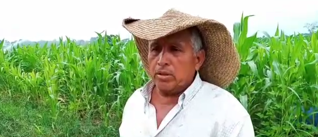 AGRICULTORES PREOCUPADOS POR EL ALZA DE INSUMOS AGRICOLAS